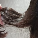 보윤한의원 | 미용실에센스 헤어영양제 추천 [이문원 에센셜세럼] 하루만에 효과본 솔직후기 (헤어홈케어)