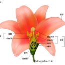 담연주 이미지