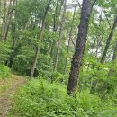 오읍(북산)약수터 이미지