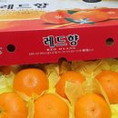올레선물의집