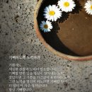 행복한오늘