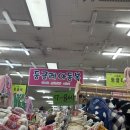 둥글레아동복