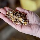 일은축산 이미지