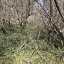 부성2농장 이미지