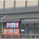 반석부동산중개 이미지