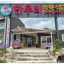 한우암소판매