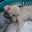 새동인약국 이미지