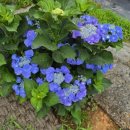 당암경로당 이미지