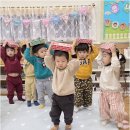 비둘기2길 이미지