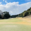 MOON골프하우스 | 일본 후쿠오카 골프여행! 시내 인근 골프장 6곳 방문 후기!