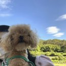 웅동농협하나로마트 가덕도점 이미지