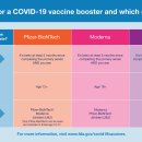 [FDA] 12-15세 소아 청소년 부스터샷 긴급승인 / FDA보도자료에는 임상시험 인용되지 않아 이미지