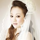 라뷰티코아 Daum카페