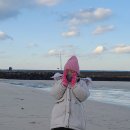 월정리 바다별 이미지