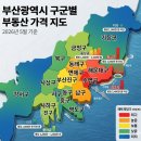 주례오토바이 | 부산에서 집 구할 때 조심해야 할 지역 특징 (직접 알아보며 느낀 현실 후기)