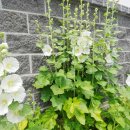 의암리 경로당 이미지