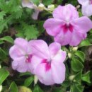 해용농장 이미지