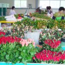 다모아유통 이미지