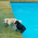 도기헤븐 이미지