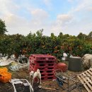 꿀맛공인중개사사무소 이미지