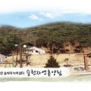 순천시, 자연휴양림 “숲속음악회” 개최 이미지
