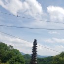 연세대학우유부천대리점
