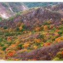 한솔아파트 버스정류장앞 이미지