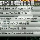 디테일링미르 이미지