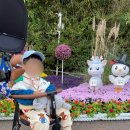 한산읍성 | 3살아기랑 2025 동래읍성역사축제 후기