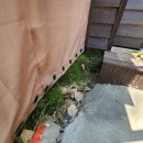 수도집 | 안성 평택 누수탐지 수도계량기 계속 도는 집 해결 후기