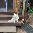 지리산사우나