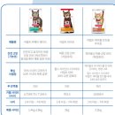 뚱냥이네 | 뚱냥이 건강한 다이어트 준비기
