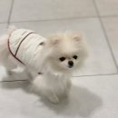 해랑동물병원 이미지