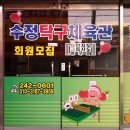 수정탁구체육관 Daum카페