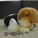 빵긋빵긋 이미지