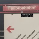 잉님 | 🇦🇹 빈