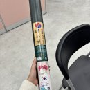 동안구청, 보건소 | 안양시 동안구청 신혼부부 혼인신고 &amp; 보건소 산전검사 후기(+혜택)