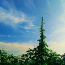 낙천대2 이미지