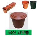 대일마켓 이미지
