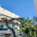 상예2동 복지회관 | 통영 아이와 가볼만한 곳 말 먹이주기 체험 브런치카페 호세