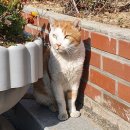 두류3동행정복지센터 이미지