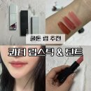 쿨톤 립 추천 콰티 립스틱 무드쿨페탈 & 틴트 후기