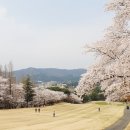 경주신라컨트리클럽골프연습장 이미지