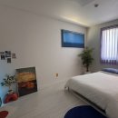 코난민박 이미지