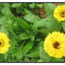 해미농장 이미지