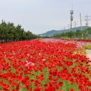 백조호수공원 이미지