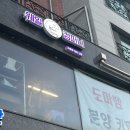 이마트24 양주채민점 | 양주 아기랑 실내 파충류 체험카페 웨일컴퍼니 방문 후기