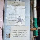 울산EDA승마장 네이버블로그