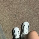 6206 | 아디제로 EVO SL 실착 후기, 아디다스 에보 SL 러닝화 사이즈 정리