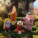 법사 행정사 이미지